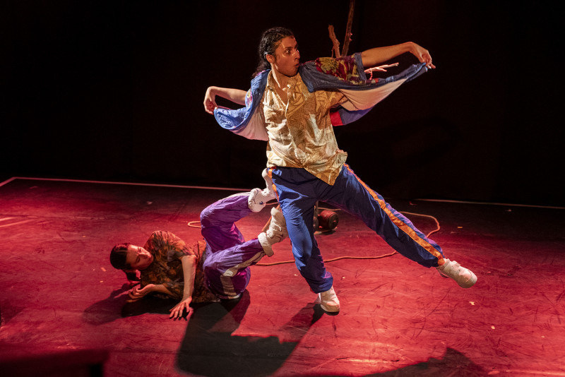 Stage danse avec LABO Compagnie